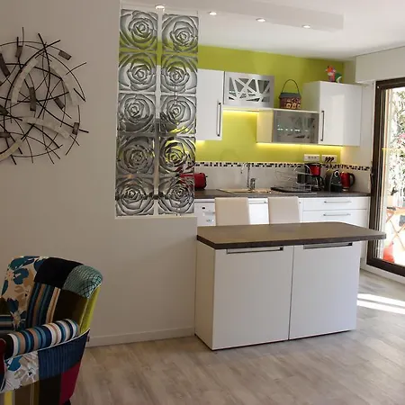 Avec Jardin Apartament Cannes