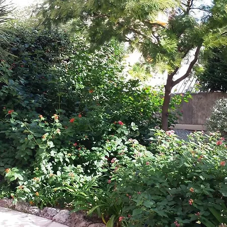 Appartement Avec Jardin *